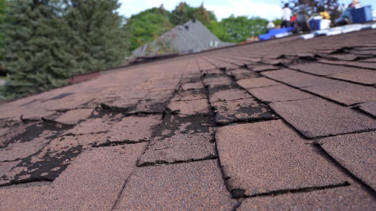Best Flat Roofing  in Mount Pleasant, MI